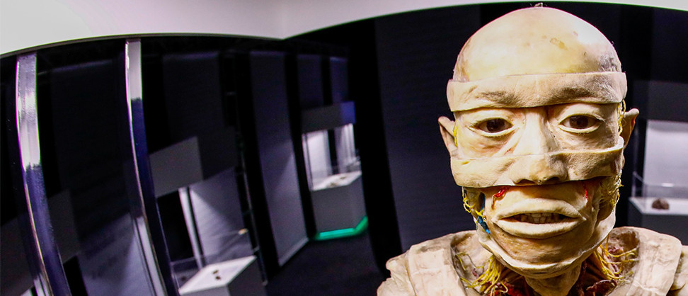 HUMAN BODIES – MARAVILHAS DO CORPO HUMANO CHEGA A CURITIBA