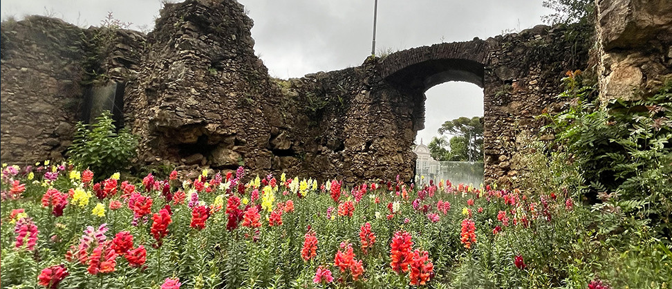 Novo tour imersivo conta a história e as lendas urbanas de Curitiba